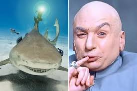 Image result for sharks lasers