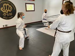Image result for Ynys Mon Shukokai Karate Club, North Wales