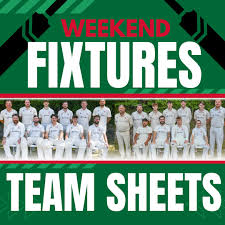 Image result for Chard Cricket Club