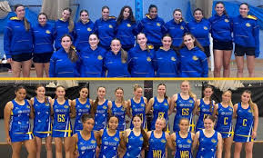 Image result for Erewash pixies netball club