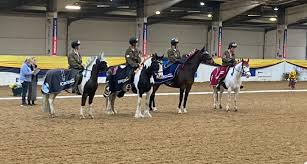 Image result for Thames Valley Riding Club