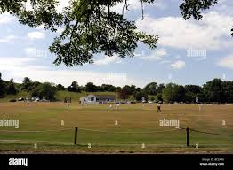 Image result for Findon Cricket Club