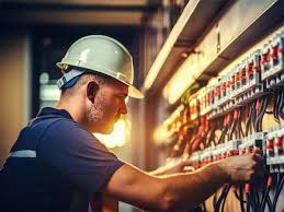 Attēlu rezultāti vaicājumam “Diderma simplex”