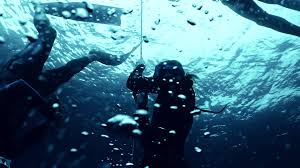 Image result for Crystal Freedivers (London)