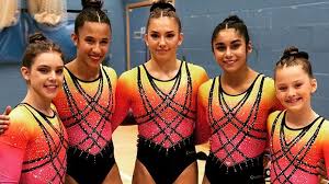 Image result for Appley Bridge Gymnastics Club