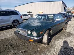 Image result for Jaguar Racing Green 1986 Jaguar