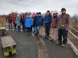 Image result for U3A Bude & District Scrabble Club