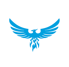 Image result for Wilmslow Lacrosse Club