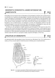 Attēlu rezultāti vaicājumam “Encalypta streptocarpa sporophyte”