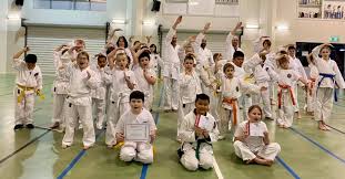 Image result for Springwood Karate