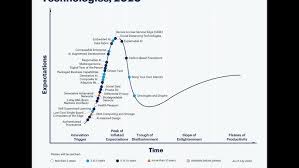Image result for gartner hype 2011