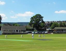 Image result for Shalford Cricket Club