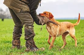 Image result for Ancholme Valley Clay Target Club
