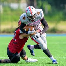 Image result for Edinburgh Wolves