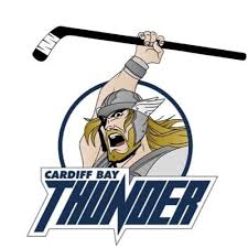 Image result for Cardiff Titans