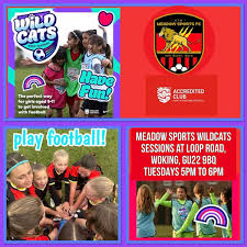 Image result for Meadow Sports Badminton Club