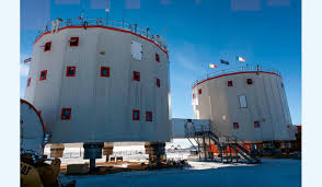 Attēlu rezultāti vaicājumam “Conardia compacta”