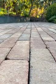 Image result for Bexhill Runners Ltd