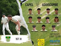 Image result for Salfords Cricket Club