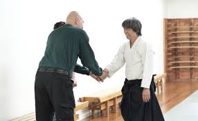 Image result for Ellis Schools of Traditional Aikido