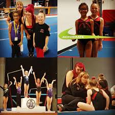 Image result for Acrobrats