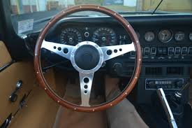 Image result for Fern Gray 1973 Jaguar