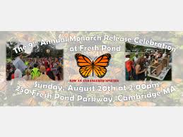 Image result for Cambridge Monarchs