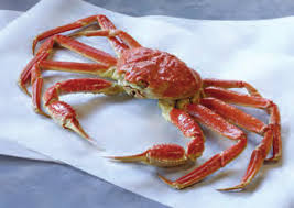 Image result for Chionoecetes opilio