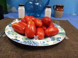 Afbeeldingsresultaat voor millionaire tomato