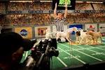 Puppy Bowl Ready for Super Sunday