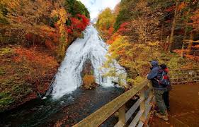 Image result for kegon waterfall