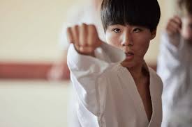 Image result for Kyoku Kenjutsu Kai