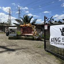 Image result for Kings Ranch Riding School/Club