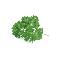 Image result for Petersilie