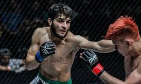 Image result for Wolverine MMA