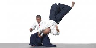 Image result for British Jujitsu Ryu