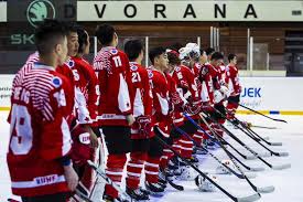 Image result for Ice Hockey International