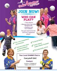 Image result for Carryduff Gaelic Athletic Club