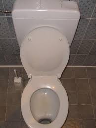 Image result for german toilet