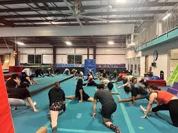 Image result for Bulmershe Gymnastics Club