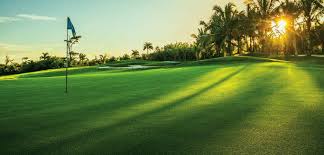 Image result for Belvedere Bowling Club