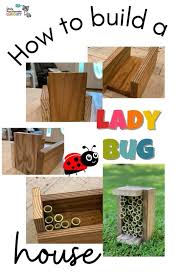 Image result for ladybug house