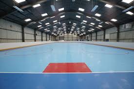 Image result for Dundee Ducks inline roller hockey club