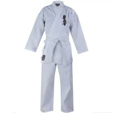 Image result for Kyokushin Karate