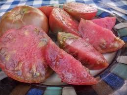 Afbeeldingsresultaat voor dark purple beefsteak tomato