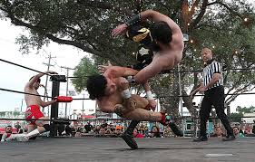 Image result for Nu Breed Wrestling Academy