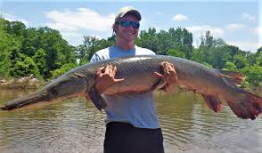 Image result for Garstang A S C