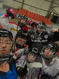 Image result for Dundee Ducks inline roller hockey club