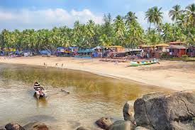 Image result for goa beaches