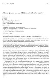 Attēlu rezultāti vaicājumam “Diderma chondrioderma sessile”